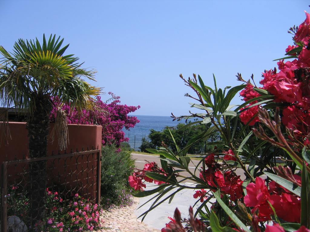 Les Bungalows De Figha Tarcu Exterior photo